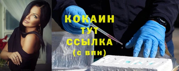 твердый Богородск