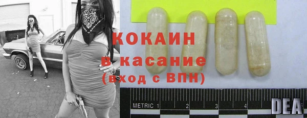 ГАЛЛЮЦИНОГЕННЫЕ ГРИБЫ Беломорск